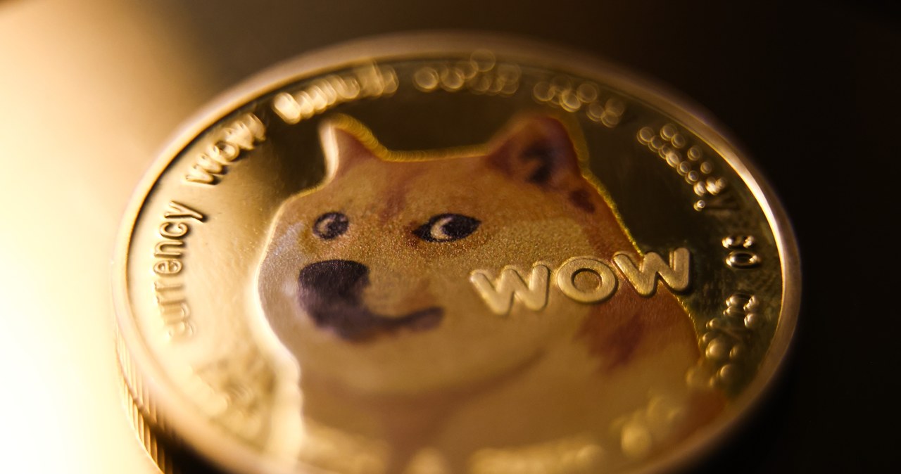 Donald, Trump, wprowadza, rynek, koszulki, nadrukiem, DOGE, Każda, kosztuje, dolarów, skrót, Departamentu, Efektywności, Rządowe Kryptowalutowa hossa dogecoina? Trump i Musk podbili cenę pieseła