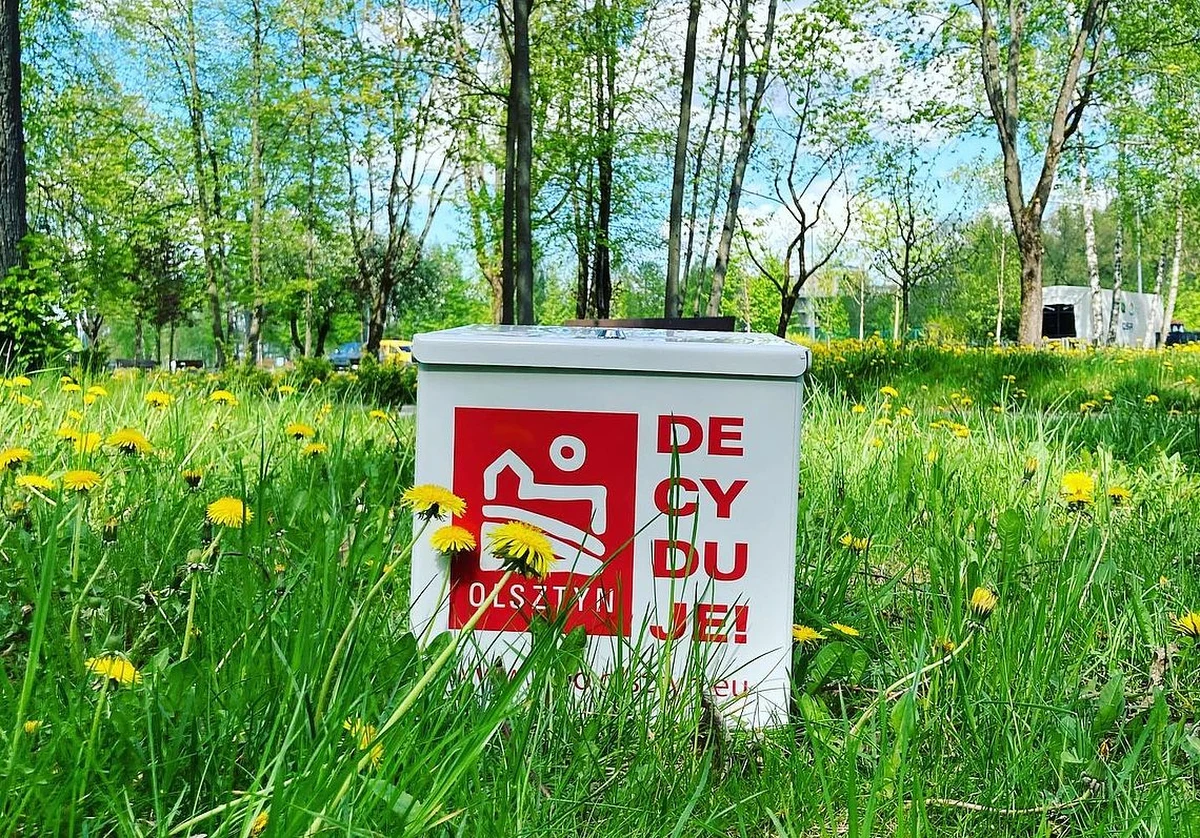 31 projektów miejskich i 89 osiedlowych, łącznie do wydania 7,5 miliona złotych - tak w liczbach wygląda tegoroczny, dziesiąty już Olsztyński Budżet Obywatelski. Głosowanie potrwa do 18 czerwca.