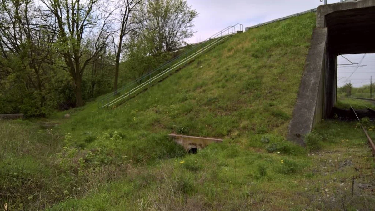 Siedem ofert wpłynęło w przetargu na budowę wiaduktu przez linię KWB Konin w ciągu drogi krajowej nr 25 w miejscowości Honoratka – poinformowała we wtorek Generalna Dyrekcja Dróg Krajowych i Autostrad.