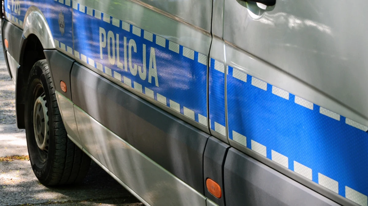 Za znęcanie się nad zwierzętami odpowie 68-latek, który uderzeniami młotkiem w głowę dobił ranną sarnę. Zwierzę leżało na poboczu drogi w podkrakowskiej gminie Zielonki.

