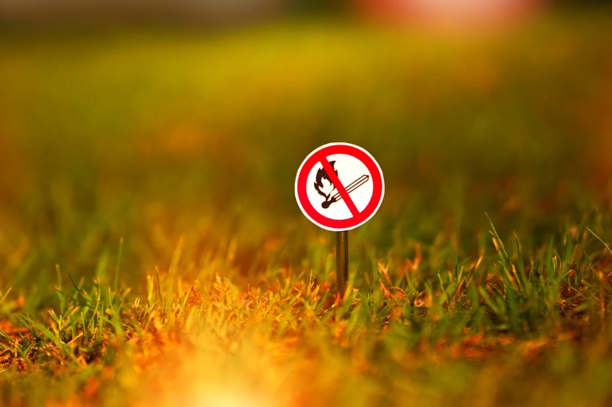 Długi weekend to świetna okazja do tego, by spędzić czas np. spacerując w lesie. Leśnicy ostrzegają: panuje susza, a to sprawia, że zagrożenie pożarowe w lasach wzrasta. O jakich zasadach powinniśmy pamiętać?