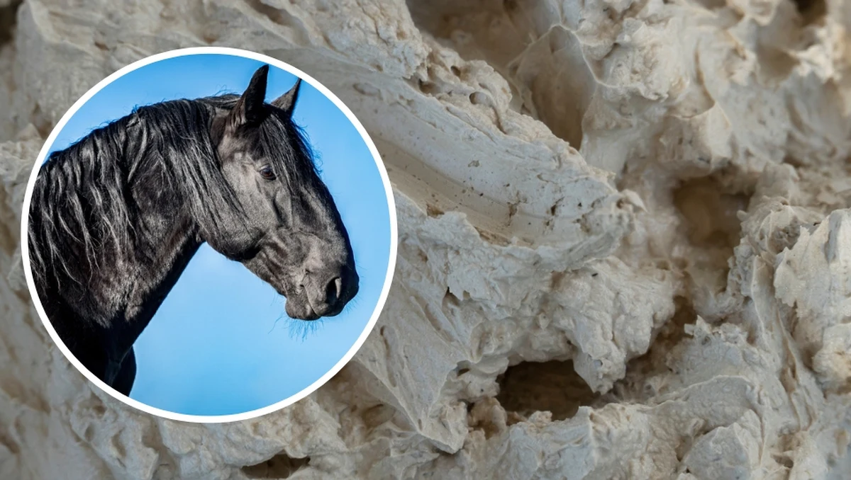 Nietypowa interwencja straży pożarnej z Bolesławca na Dolnym Śląsku. W glinie znajdującej się w rejonie zakładu produkującego ceramikę ugrzązł koń wraz z jadącą na nim kobietą.