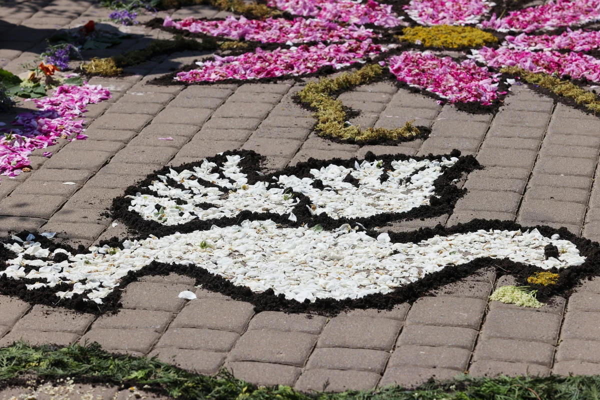 W Spycimierzu w Łódzkiem w Boże Ciało usypywane są kolorowe, kwietne kobierce. Zobacz, jak wyglądają. Tradycja ta została wpisana na listę światowego dziedzictwa UNESCO.