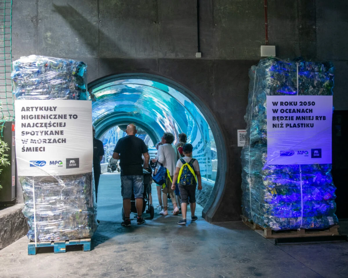 W strefie oceanicznej Orientarium ZOO Łódź stanęła instalacja zrobiona ze 120 tysięcy sprasowanych butelek i innych odpadów. W Światowym Dniu Oceanów ma przypominać zwiedzającym o problemie zaśmiecania wód.

