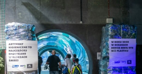 W strefie oceanicznej Orientarium ZOO Łódź stanęła instalacja zrobiona ze 120 tysięcy sprasowanych butelek i innych odpadów. W Światowym Dniu Oceanów ma przypominać zwiedzającym o problemie zaśmiecania wód.

