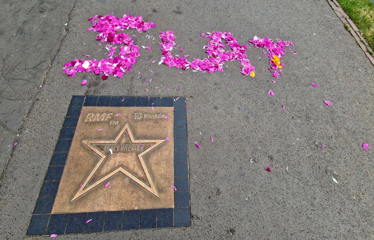 Fani "Króla rock’n’rolla" zebrali się pod Wawelem na Alei Gwiazd RMF FM i Miasta Krakowa, by uczcić 5. rocznicę odsłonięcia pamiątkowej Gwiazdy swojego idola. Inicjatorem powstania Gwiazdy był działający od wielu lat fan club "Elvis in Cracow".  