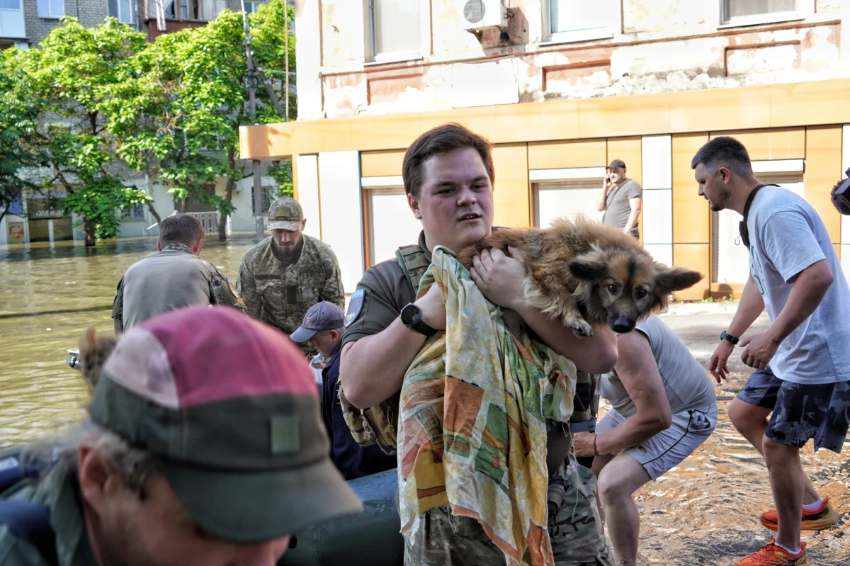Pies owinięty wokół nogi człowieka. Przytula się do niej jak do zbawienia. Właśnie wysiadł z łodzi i patrzy nieprzytomnie, jakby nie wierzył, że żyje. To pierwszy kawałek lądu, jaki od dwóch dni czuje pod łapami. Stało się coś, czego nie mógł przewidzieć i nigdy wcześniej nie widział. Znikąd pojawiła się wielka woda. Podstępnie wdarła się między domy i zaczęła piąć się w górę. Najpierw wtargnęła do korytarza, gdzie stały miski z suchą karmą, potem podeszła pod parapety okien. W końcu sięgnęła dachów, na których schronili się ludzie. Pies ocalał dzięki tratwie z kawałka deski. Teraz jest bezpieczny, ale jeszcze nie zdaje sobie z tego sprawy. Trzęsie się z zimna i kurczowo trzyma nogi ratownika.