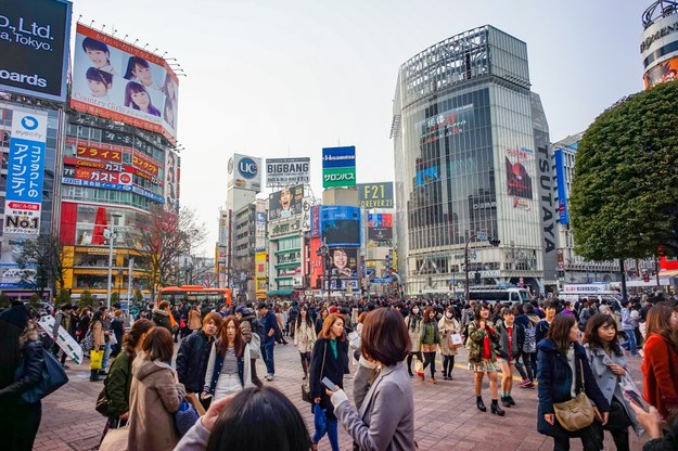 Korea zakaże konsumpcji psiego mięsa? Producenci protestują