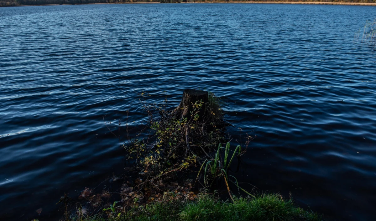 Na jeziorze Bełdany trwa akcja ratownicza. Wszczęto ją po tym, jak mężczyzna wyskoczył z łódki do wody i nie wypłynął - podało Mazurskie Ochotnicze Pogotowie Ratunkowe.