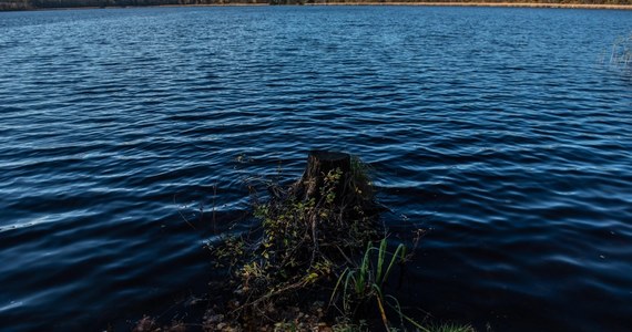 Na jeziorze Bełdany trwa akcja ratownicza. Wszczęto ją po tym, jak mężczyzna wyskoczył z łódki do wody i nie wypłynął - podało Mazurskie Ochotnicze Pogotowie Ratunkowe.