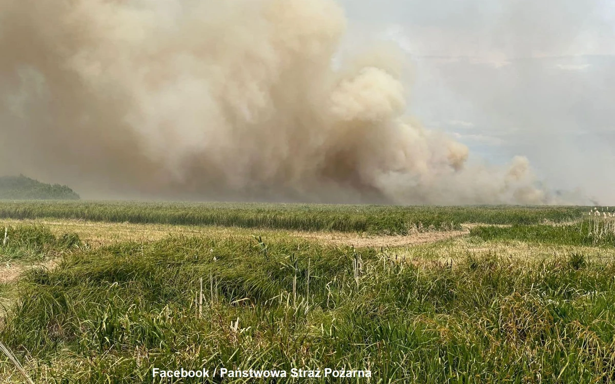 Strażakom udało się opanować pożar łąk znajdujących się tuż przy Biebrzańskim Parku Narodowym. Ogień pojawił się po południu i objął nawet kilkadziesiąt hektarów traw między miejscowościami Zabiele i Dolistowo na Podlasiu.