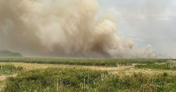 Strażakom udało się opanować pożar łąk znajdujących się tuż przy Biebrzańskim Parku Narodowym. Ogień pojawił się po południu i objął nawet kilkadziesiąt hektarów traw między miejscowościami Zabiele i Dolistowo na Podlasiu.