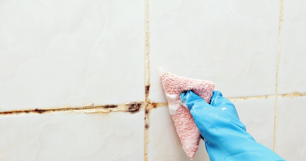 Zmieszaj i nałóż na fugi. Odzyskają śnieżną biel, a pleśń zniknie