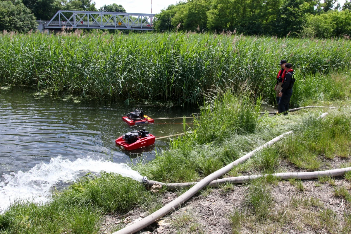 Kolejnych 290 kilogramów martwych ryb wyłowiono wczoraj z Kanału Gliwickiego - przekazał wojewoda opolski. Według Głównego Inspektoratu Ochrony Środowiska w wodzie stwierdzono obecność złotej algi, ale także gwałtowny spadek stężenia tlenu do poziomu 28 procent. 