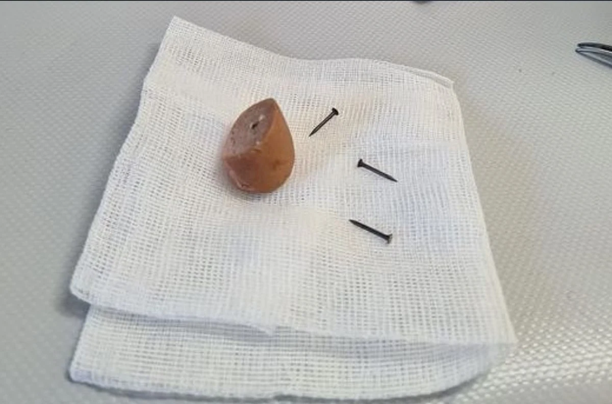 Osoby, która rozrzuca parówki naszpikowane gwoździami, poszukuje policja z Chełmka. Ofiarą zwyrodnialca padł pies. Tylko dzięki szybkiej reakcji właścicielki i weterynarza zwierzę przeżyło - zakomunikowała w czwartek oświęcimska policja.

