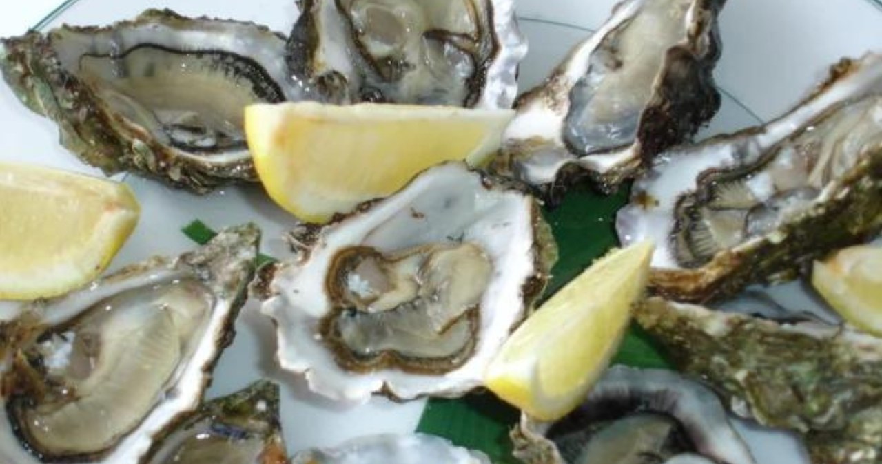 Kolejny zgon wywołany Vibrio vulnificus. Groźna bakteria bywa też w Bałtyku