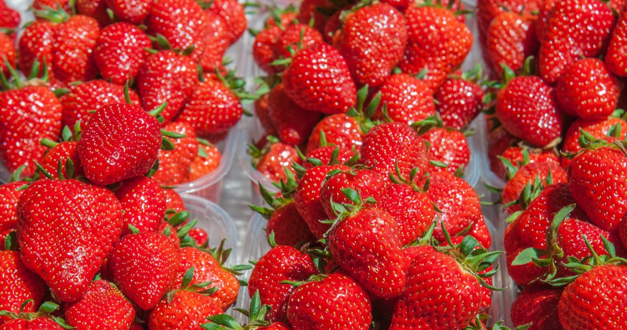 Czy osoby chorujące na cukrzycę mogą jeść truskawki? Kluczowa jedna zasada