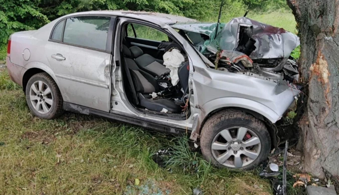 Auto uderzyło w drzewo, nie żyje dwóch młodych mężczyzn