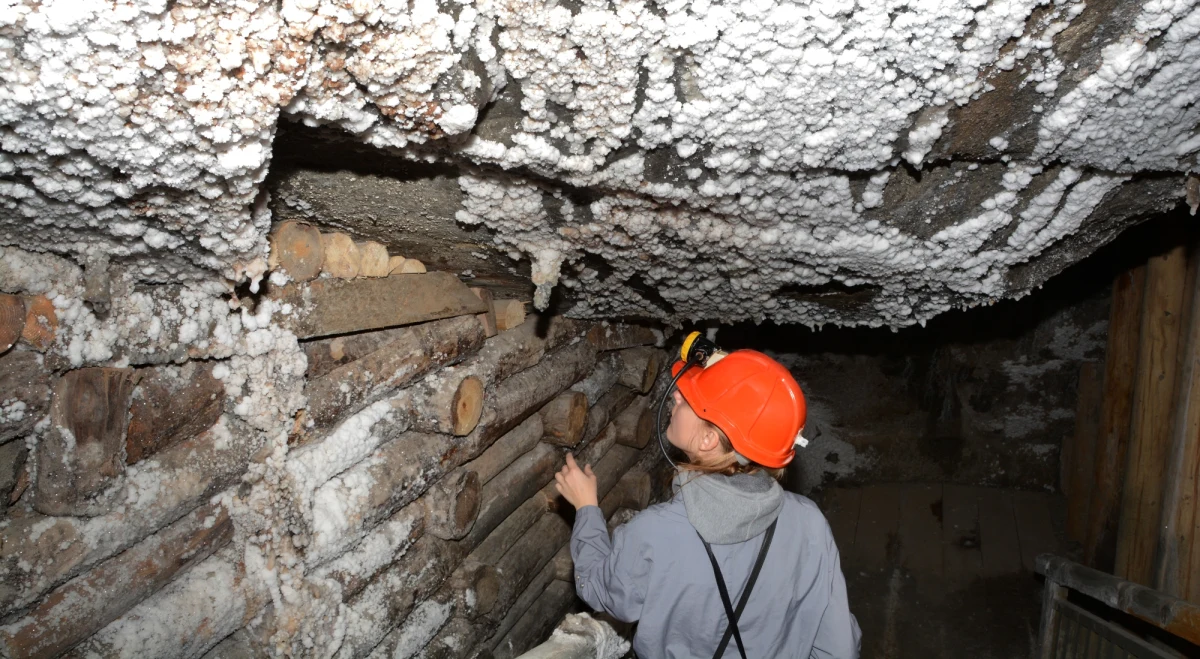 ​Biolodzy Uniwersytetu Łódzkiego badają drobnoustroje zamieszkujące kopalnie soli. Naukowcy sprawdzają m.in. jaki wpływ może mieć obecność archeonów halofilnych z punktu widzenia haloterapii - będącej metodą wspomagającą leczenie chorób układu oddechowego, w tym astmy czy powikłań po Covid-19.