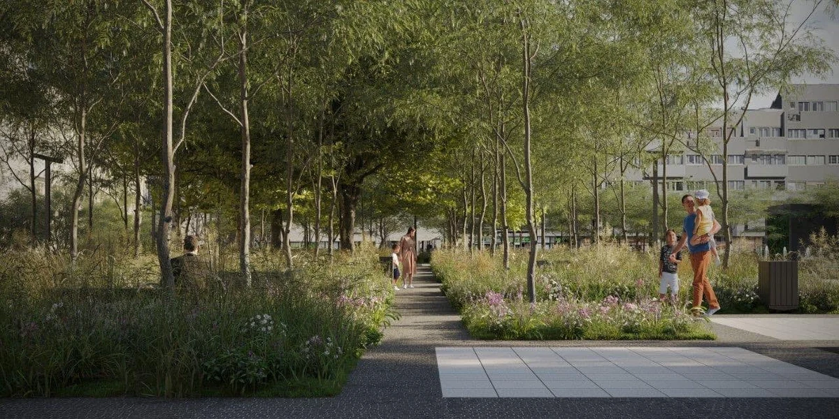 ​Ponad 60 tys. roślin - drzew, bylin, paproci, traw i pnączy - ma zostać posadzonych na placu Nowy Targ w ścisłym centrum Wrocławia. Do tej pory na otoczonym zabudowaniami mieszkalnymi i użyteczność publicznej placu właściwie nie było roślinności.