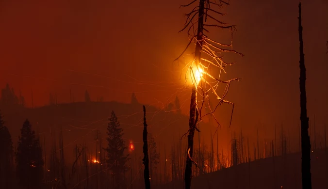 Ogromny pożar spustoszył Park Yosemite. Podejrzany o podpalenie zatrzymany