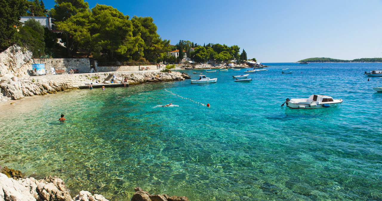 Olej, odpady, spożywcze, nawet, odchody, wszystko, coraz, częściej, dociera, plaż, chorwackiej, wyspie, Hvar, Nieczystości, przy Rajskie plaże zalane ściekami. Po południu wszystko jest brązowe