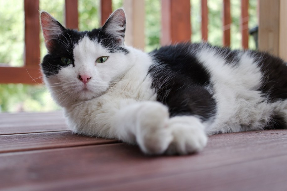 /Maciej Nycz /RMF FM