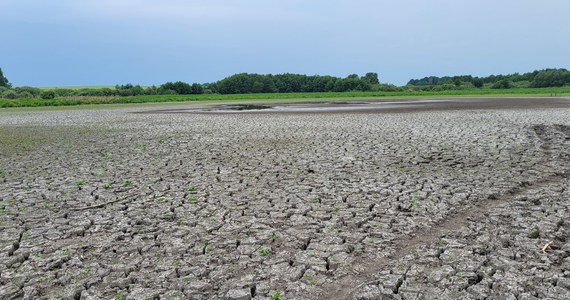 Jezioro w wielkopolskim Skrzatuszu niemal całkowicie wyschło. Z blisko 7-hektarowego zbiornika zostały dwie kałuże. To efekt suszy oraz zmian klimatycznych.
