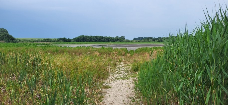 /Beniamin Piłat /RMF FM