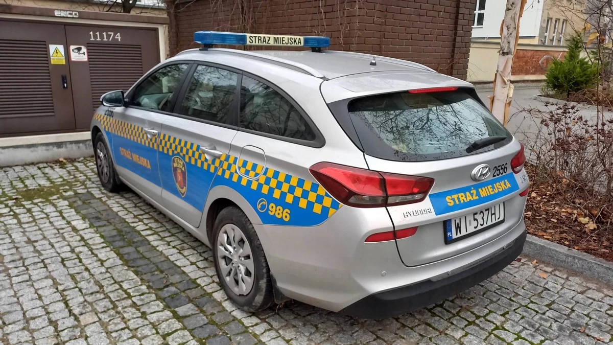 Do warszawskich strażników miejskich, którzy patrolowali ulicę Czackiego podeszła kobieta, która poinformowała, że w zaparkowanym nieopodal samochodzie znajduje się pies. Narastający upał mógł doprowadzić do śmierci zwierzęcia. Strażnicy by ocalić psa, musieli wybić w aucie szybę. 