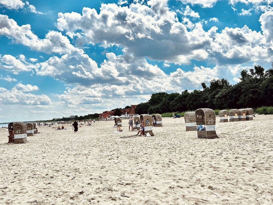 /fot. Ewelina Wołejko  /