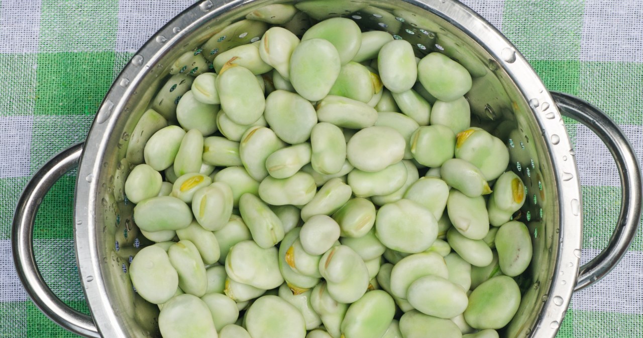 Idealne smarowidło do kanapek. Ewa Wachowicz przygotowuje je z bobu