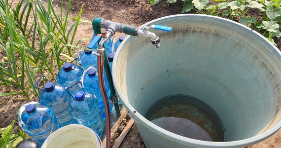 Działkowcy z ul. Gdańskiej w Gnieźnie mają problemy z dostępnością wody. Właściciele 150 działek podłączonych do ujęcia ze studni głębinowej muszą przywozić wodę z domów - w butelkach i baniakach.