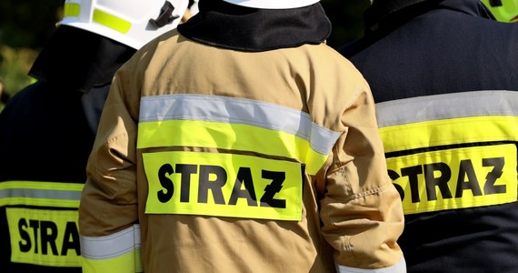 W Rudzie Śląskiej wybuchł w piątek pożar hali magazynowej, w której składowano części samochodowe i oleje. Na miejsce wysłano 14 zastępów strażaków. Nie ma informacji o poszkodowanych.