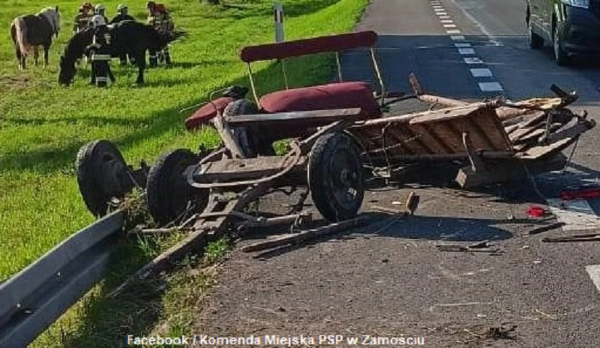 Dwie osoby zostały zabrane do szpitala po wypadku na drodze krajowej nr 17 w rejonie Zamościa w Lubelskiem. Samochód osobowy wjechał tam w furmankę.