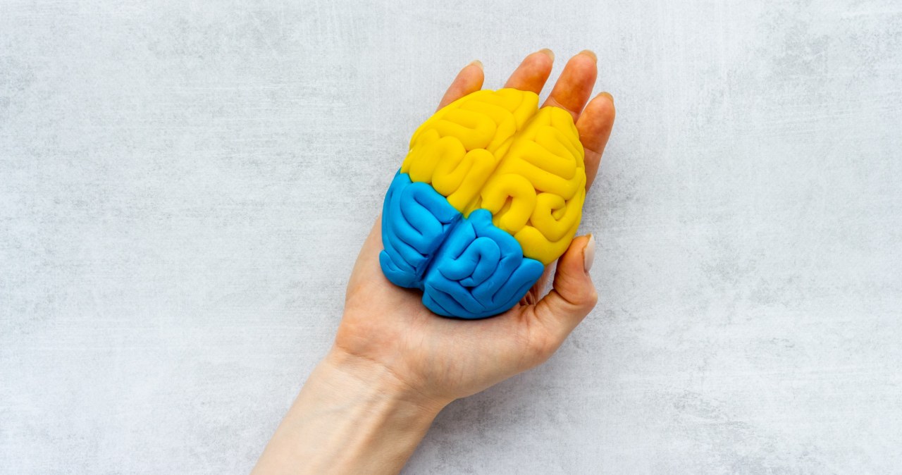 Czy długość palców wpływa na wielkość mózgu? Nowe ustalenia naukowców