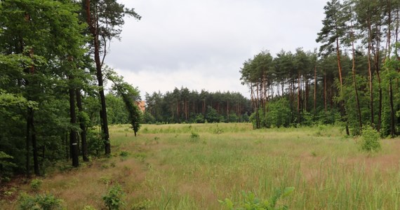 Władze Trzebini chcą nowej lokalizacji dla cmentarza, ogródków działkowych i obiektów sportowych. Te obecnie znajdują się na terenie zagrożonym powstawaniem zapadlisk. Zaproponowano też konkretny obszar.