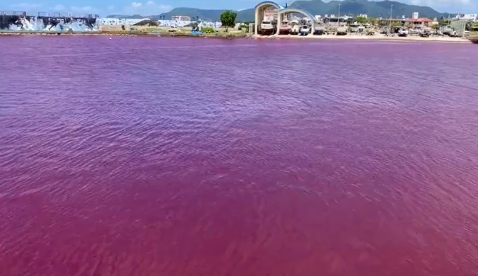 Krwistoczerwona woda w rzece i porcie. Mieszkańcy japońskiego miasta w szoku