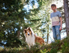 Zobacz trailer: Lassie. Nowe przygody