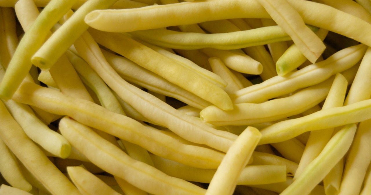 Takiej fasolki szparagowej unikaj jak ognia. Jej zjedzenie może mieć przykre konsekwencje