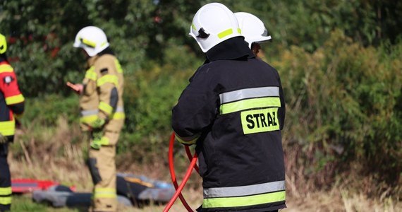 Pierwszych 19 polskich strażaków z modułu do gaszenia pożarów lasów z ziemi wyruszyło do Francji, gdzie będą się szkolić i doskonalić wiedzę teoretyczną i praktyczną w dziedzinie gaszenia pożarów lasów. Informację przekazał rzecznik Państwowej Straży Pożarnej bryg. Karol Kierzkowski.