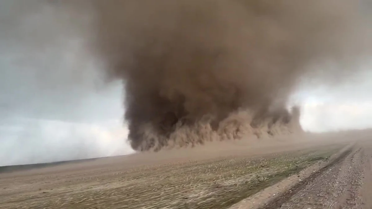 Pościgi za tornadami to zajęcie dla prawdziwych twardzieli. Jednym z nim jest Reed Timmer, który takich akcji ma już na swoim koncie setki. Amerykanin opublikował w swoich mediach społecznościowych nagranie, jak "przechwycił" tornado w stanie Nebraska.