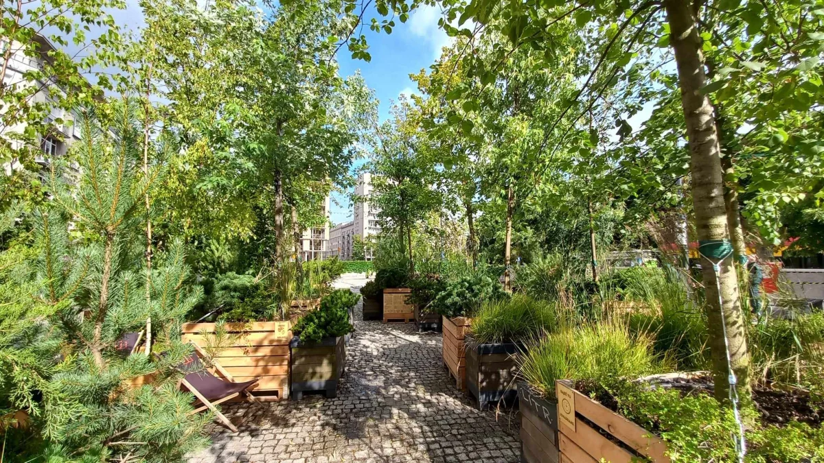 Architektki i architekci z Politechniki Warszawskiej odpowiadają na problem hałasu w mieście i odmieniają centrum Warszawy. Zaczęli od Placu Politechniki, na który na czas wakacji wprowadzili nową funkcję użytkową: HA-LAS.