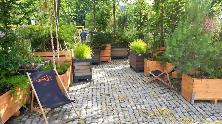 /Przemysław Mzyk /RMF MAXX