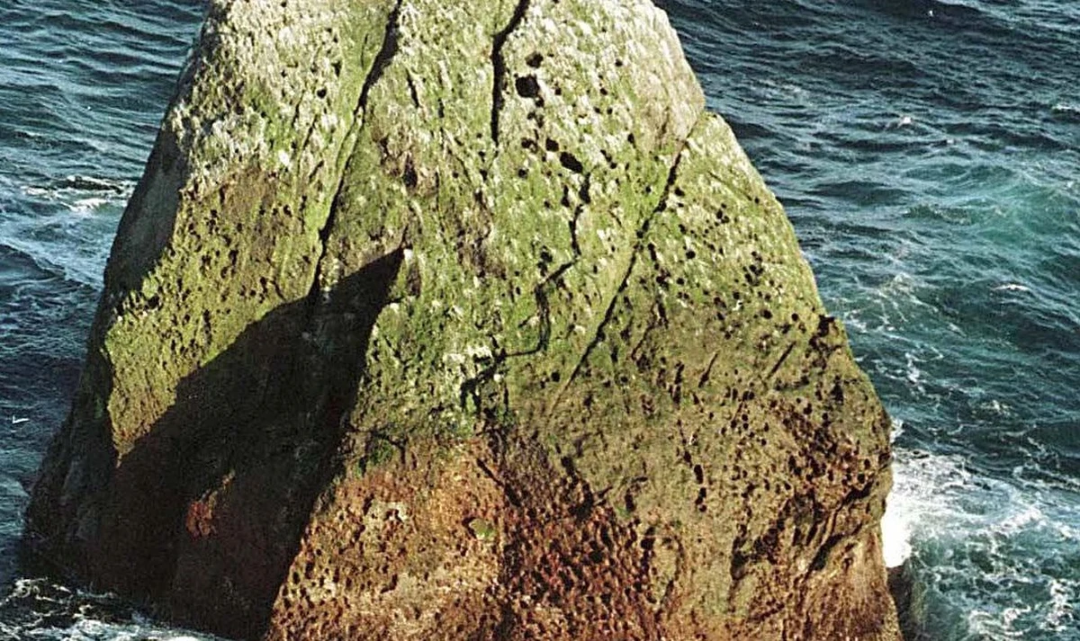 "Zrobiłem to na cel charytatywny i zebraliśmy trochę pieniędzy" - powiedział Christopher "Cam" Cameron, były brytyjski żołnierz, który chciał pobić rekord Guinessa i samotnie spędzić 60 dni na małej wyspie na Atlantyku. Po 32 dniach był jednak zmuszony wezwać pomocy.