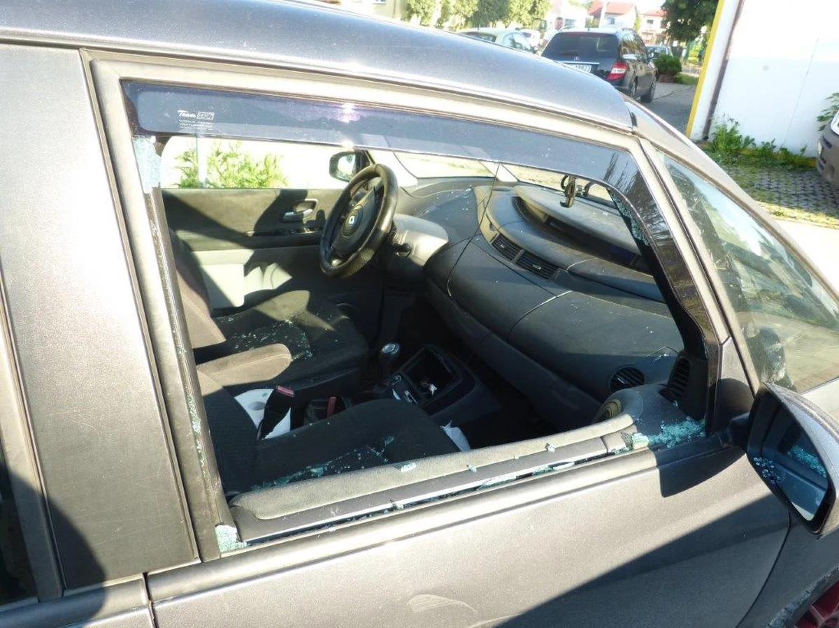 Policjanci wydostali z nagrzanego samochodu zaparkowanego w małopolskich Brzeszczach dwa psy. Zwierzaki były zamknięte w klatce znajdującej się w bagażniku. Nie miały dopływu świeżego powietrza i dostępu do wody.

