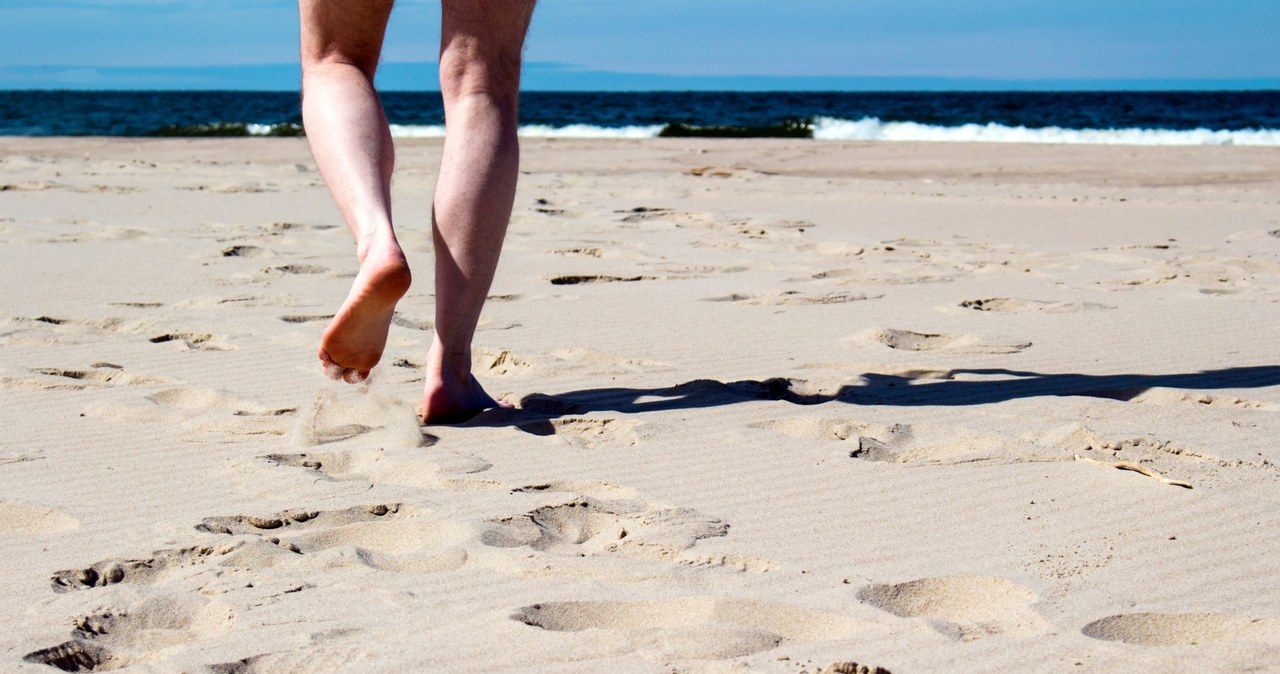 Słońce, plaża, lazurowa, morska, woda, kochamy, wakacje, morzem, pozwólmy, błogą, sielankę, zepsuła, meduza, Niezależnie, tego,  Postrach plaż nad Bałtykiem i w Chorwacji. Bliskie spotkanie skończy się boleśnie