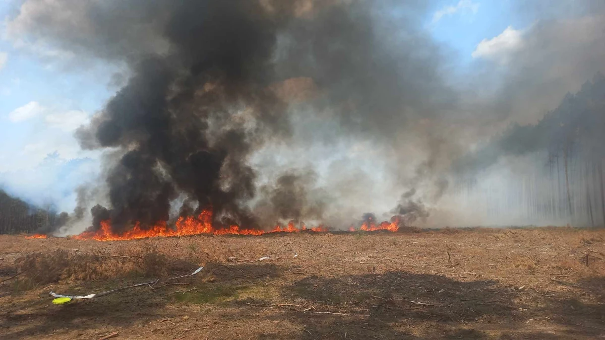 Dwóch strażaków Ochotniczej Straży Pożarnej zostało poszkodowanych podczas akcji gaszenia pożaru lasu w rejonie miejscowości Świętno i Wilcze w Wielkopolsce. Obaj trafili do szpitala.