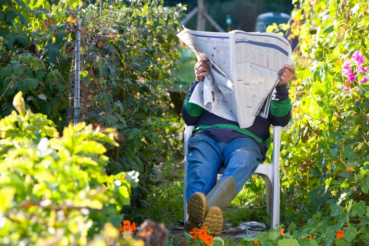 Otrzymanie dodatkowych pieniędzy na wakacje – nazywane wczasami pod gruszą – możliwie jest w firmach i jednostkach budżetowych, w których istnieje Zakładowy Fundusz Świadczeń Socjalnych. Nie ma ustalonej kwoty należącej się za wczasy pod gruszą. Wysokość dofinansowania za wakacyjny wypoczynek określają regulaminy ZFŚS – w praktyce są to kwoty najczęściej po kilkaset złotych na pracownika lub osobę w jego rodzinie.