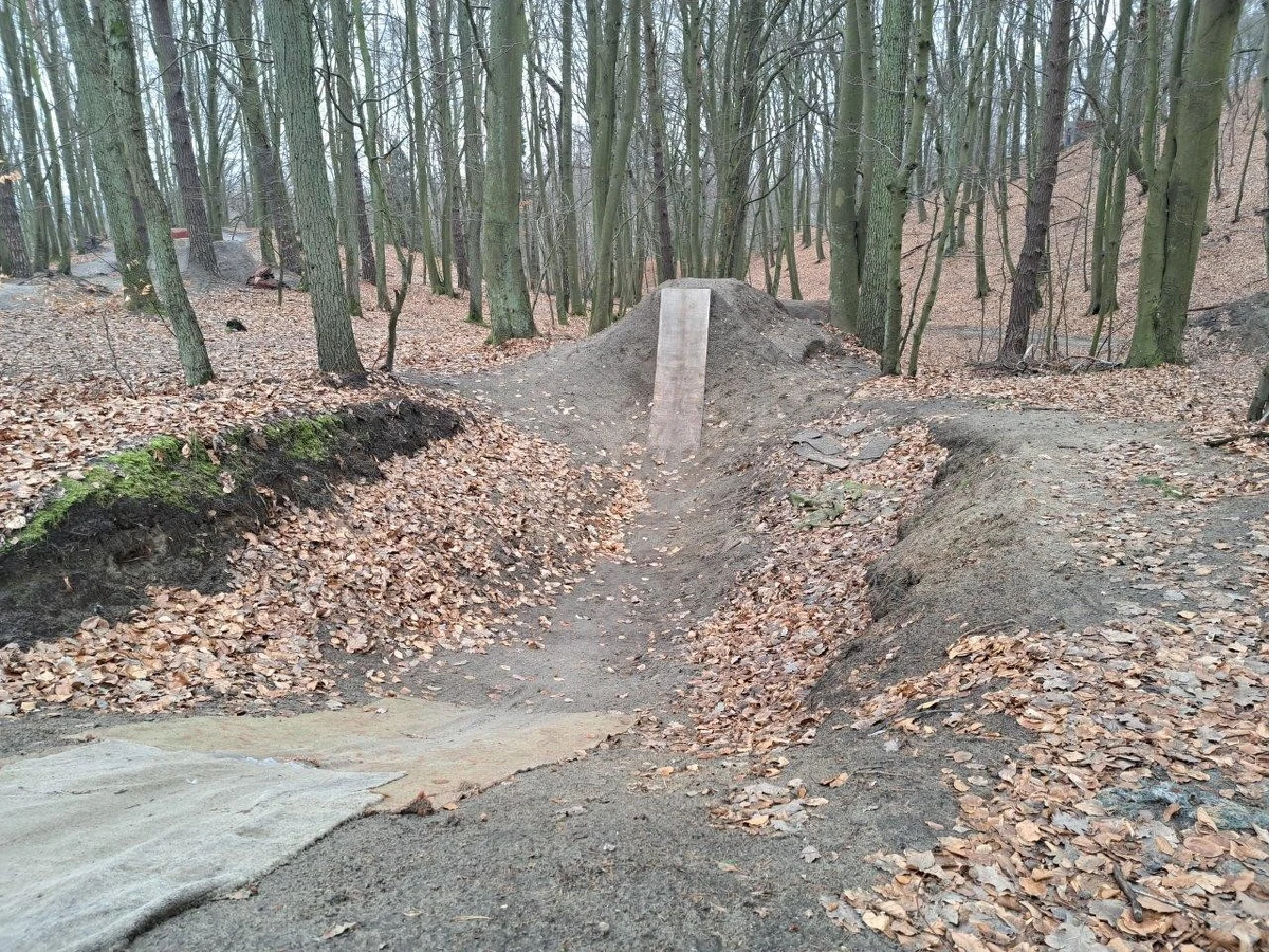 W środę rozpocznie się likwidacja nielegalnego toru rowerowego, który znajduje się na terenie Trójmiejskiego Parku Krajobrazowego. Zdaniem urzędników tor zagraża bezpieczeństwu rowerzystów i ingeruje w rzeźbę terenu.
